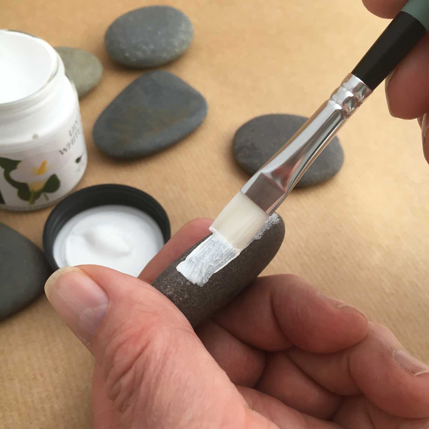 Rock Painting Getting Started with the Complete Starter Kit Rock Paint